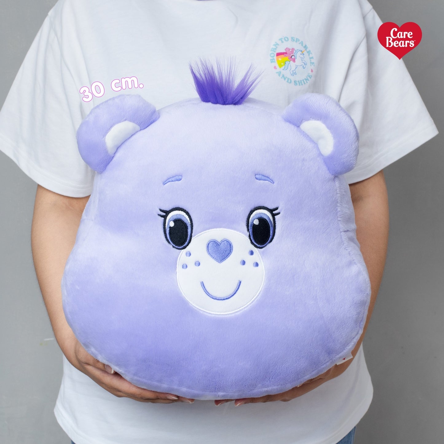Care Bears New Cushion ✨🛋️正版軟綿綿攬枕 [8colors]