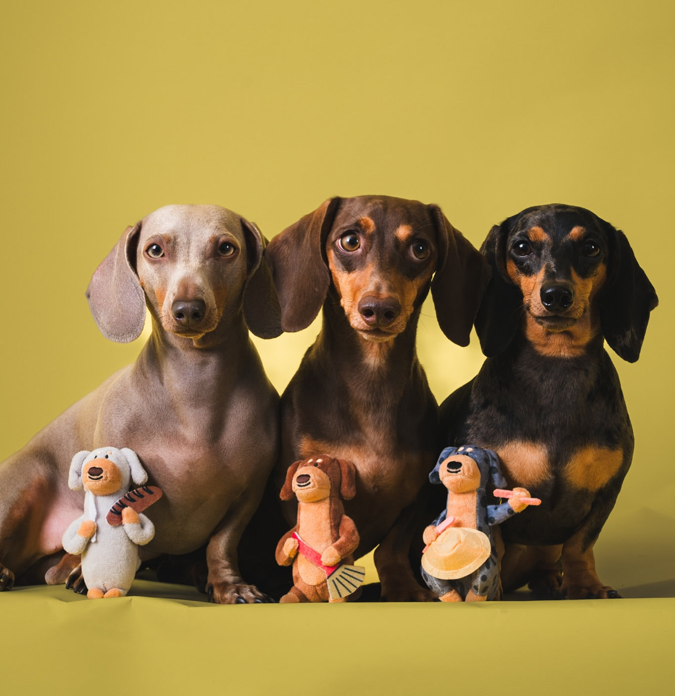 泰國文創 | SAUS.BKK臘腸狗盲盒