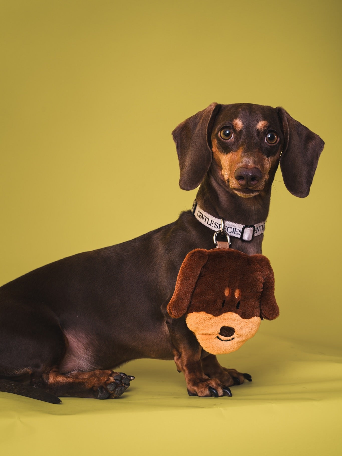 臘腸狗Card Holder Pouch