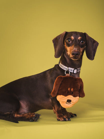 臘腸狗Card Holder Pouch